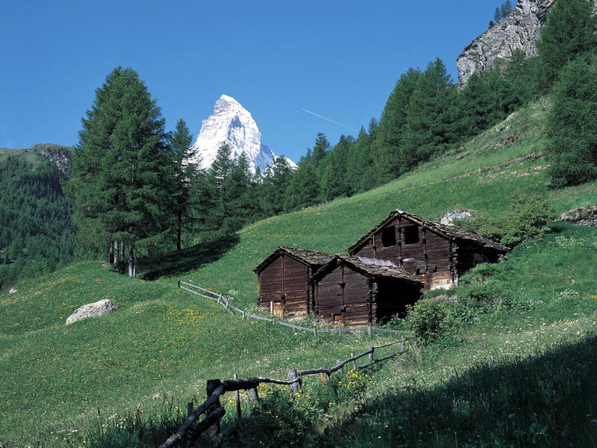 Apartment Oasis By Interhome Zermatt Eksteriør bilde