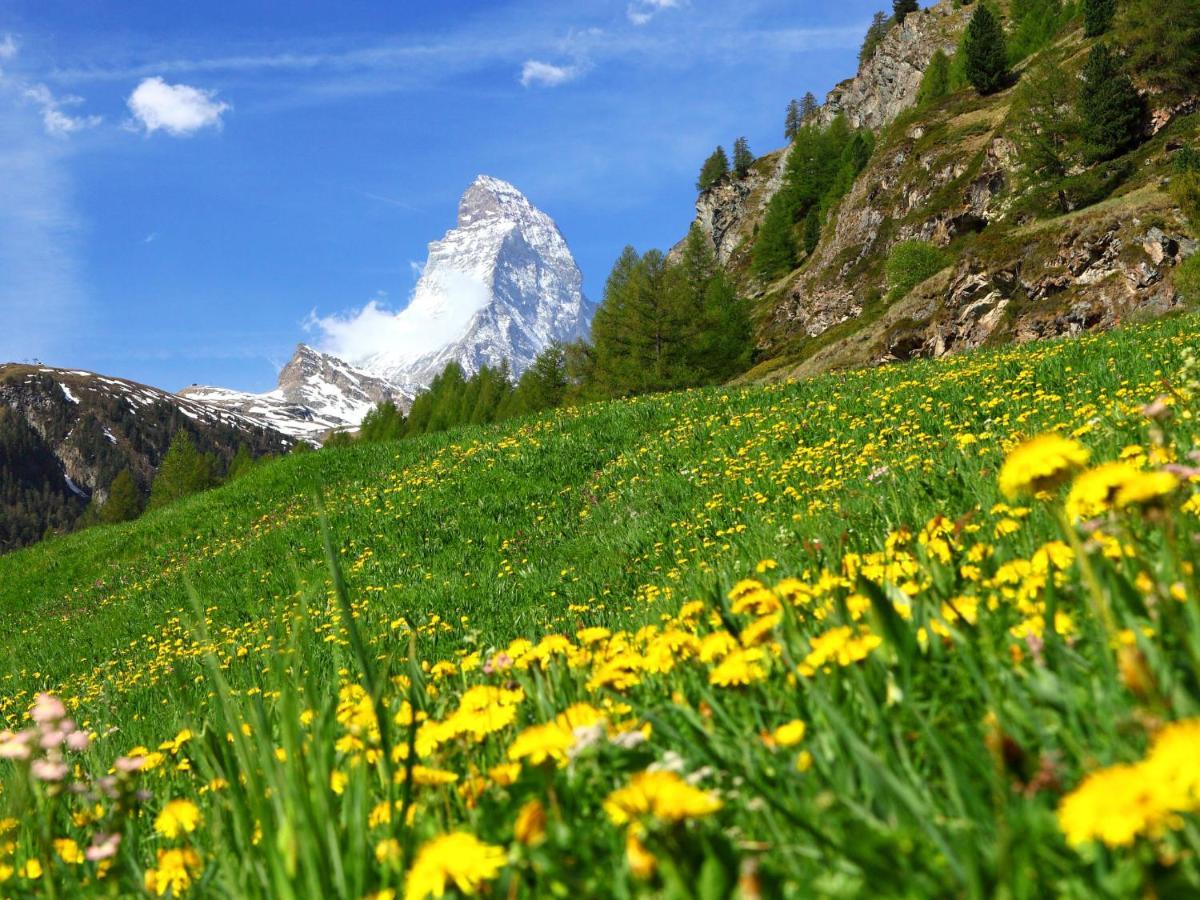 Apartment Oasis By Interhome Zermatt Eksteriør bilde